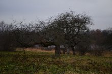Herbst / ****