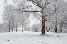 Nach einem Schneesturm / ---