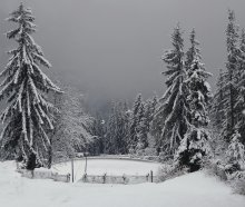 Weißer Schnee Winter zaporoshila .... / ***