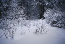 Am Winterwanderweg / ***