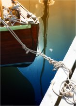 an der Leine / ***