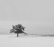 Allein auf der Straße .... / ...................