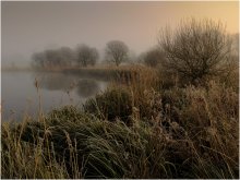 Nebel ... - Frosty ... / ***