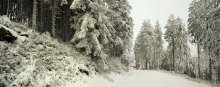 Januar in den Bergen des Schwarzwaldes / ***
