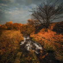 Zurück in den Farben des Herbstes-II / ***