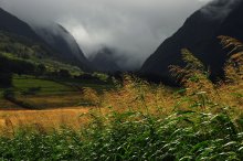 was Whispering Grass / Lahaina, Hawaii