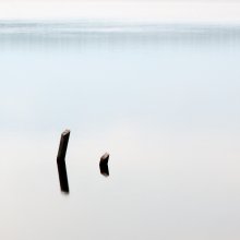 Landschaft mit zwei Stöcken / ***