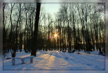 Winter Park / ***