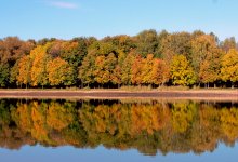 hell Herbst / ***