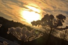 Wintermorgen / )))