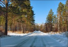 Die Straße durch den Kiefern / ***