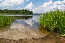 Lake (oder Traum zu warmem Wetter) / ***