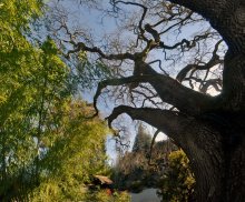 Japanischer Garten / Hakone Gardens
21000 Big Basin Way
Saratoga, CA 95070
