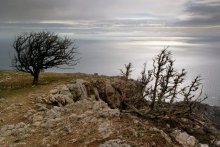 Und oben auf dem Wind ... / ***