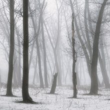 Winter Nebel / ***