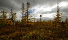 Mer Blue Bog / Mer Blue Bog