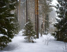 Nehozhinym auf Wanderwegen / ***