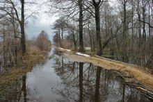 Überschwemmungen auf Polesse / ***