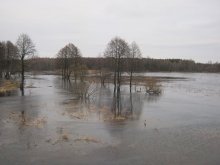 Hochwasser an Mukhavets / ***