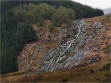 ... Wasserfälle, listvYak und Tanne ... / ...Glenmacnass Waterfall...