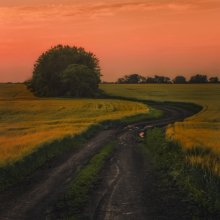 Abend auf dem Gebiet / ***