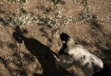 &nbsp; / -----------------