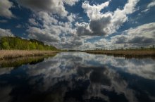 Mer Bleue Bog @ Spring / Mer Bleue Bog @ Spring