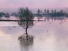 Hochwasser / ***