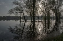 An einem Frühlingsmorgen / ***