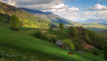 Karpaten-Landschaft mit einem roten Pferd :) / ***