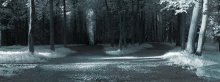  / infrared