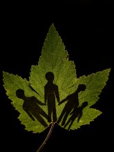 Greenpeace / ***