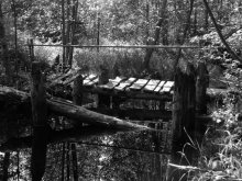 Brücke / ***