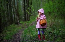 Frühling im Wald. / ***