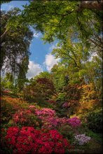 Exbury Gardens. Landscape / ***