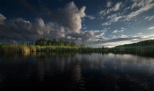 wetland swamp / wetland swamp