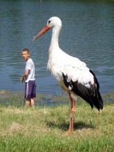 Große und kleine / ***