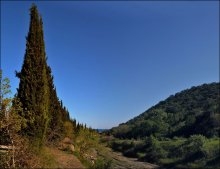 Die Krim-Landschaft / ***