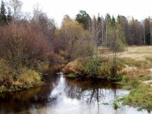 Fluss / ***