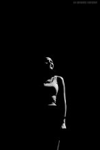 der Schatten / ...