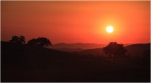 Sonnenuntergang in der Toskana. / ***