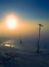 Die Magie des Winter Nebel / ***
