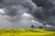 Sky Sailing / Rainstorm across the rapeseed fields in Burgundy