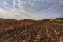 Landschaft / ***