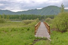 Die Brücke zum See / ***