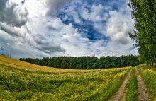 Sturm irgendwo in der Nähe ... / ***