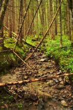 Im Märchenwald / ***