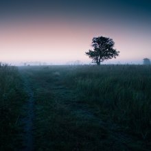 the road to eternity / ***