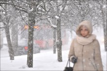 Schneefall / ***
