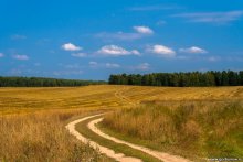 Bereich Landschaft / ***